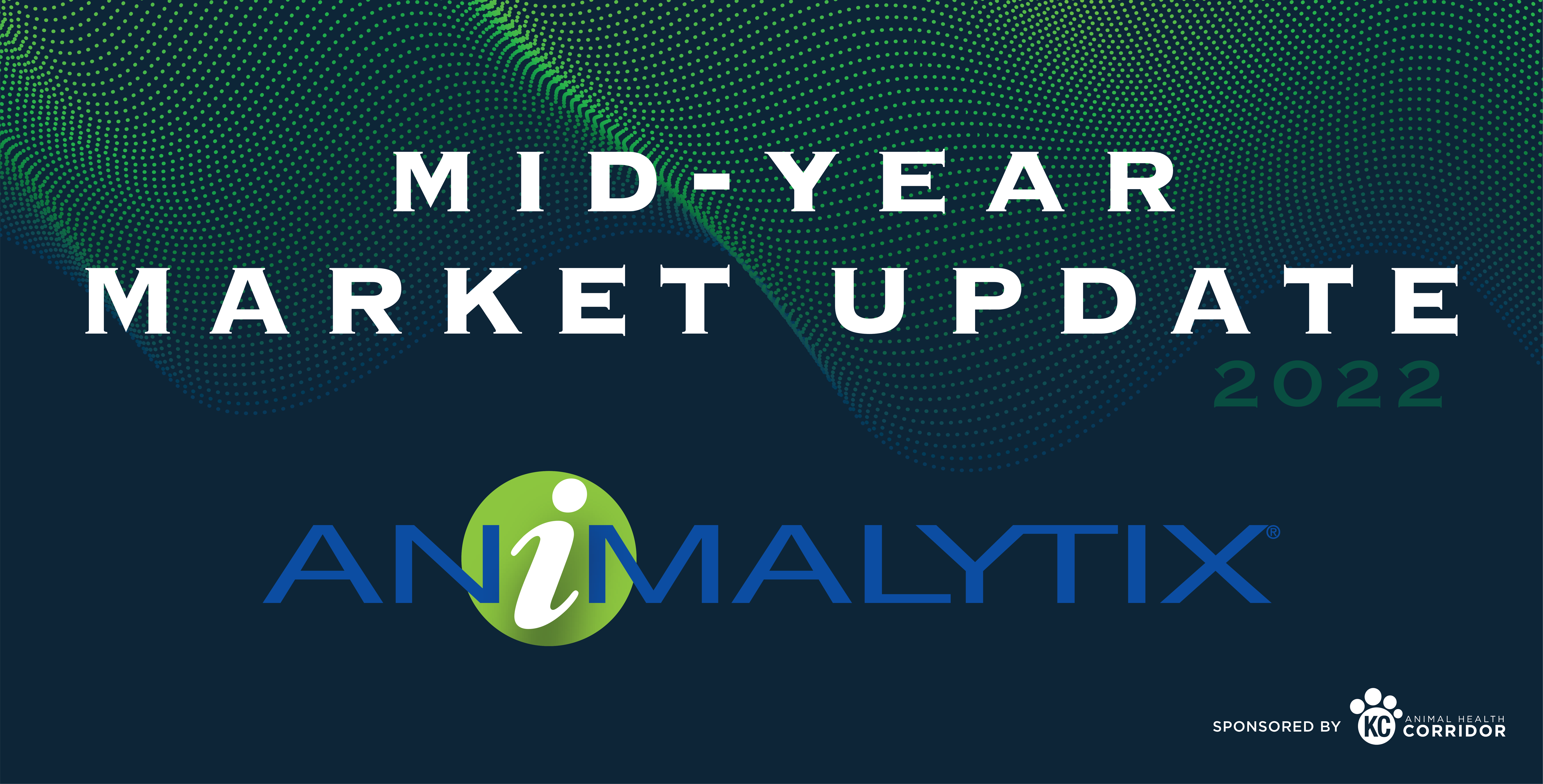 Mid-Year Market Update